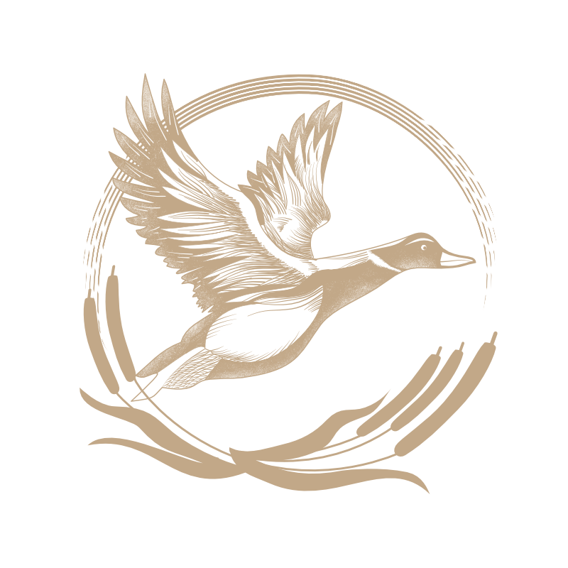 Królowa Kaczek – logo